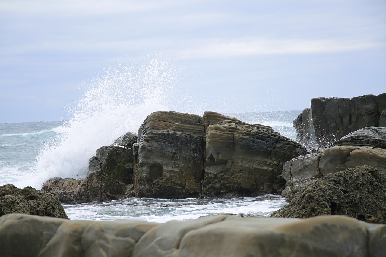 beach  marine  sea free photo