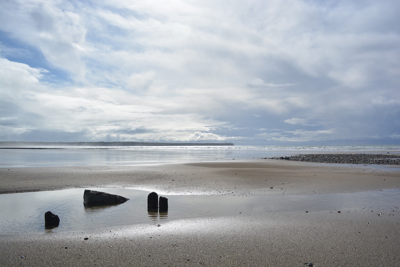 beach  sea  water free photo