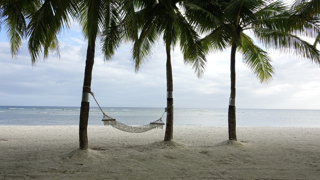 beach  break  hammock free photo