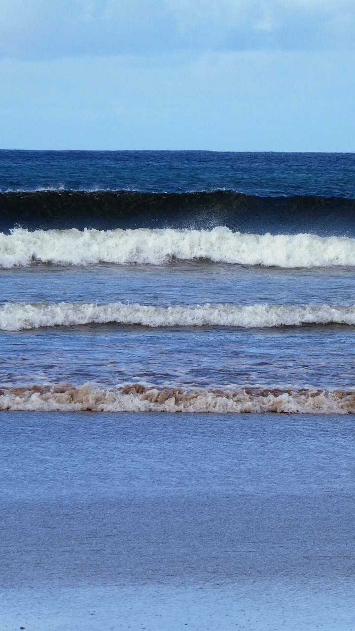 beach  sea  surf free photo