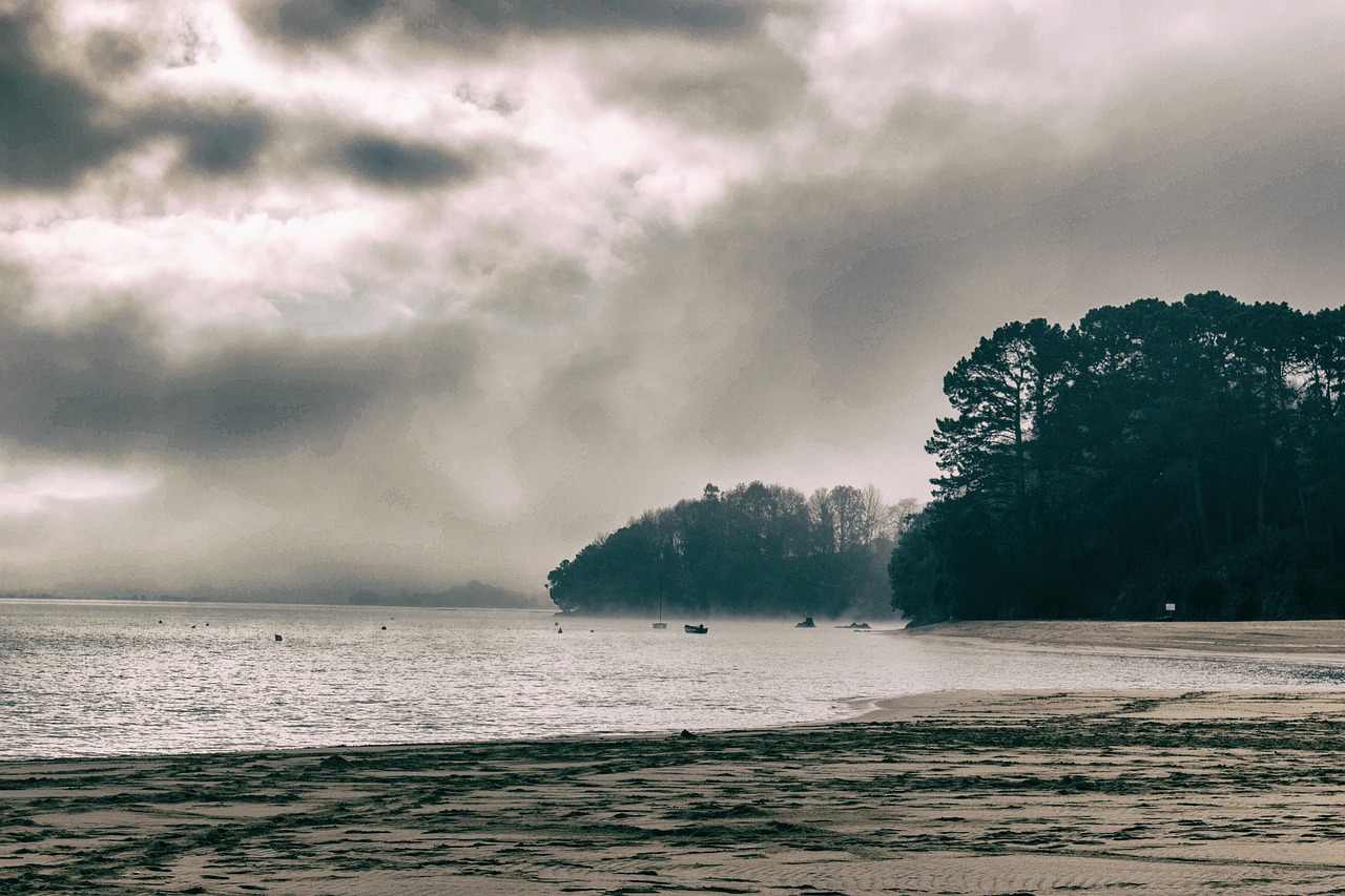 beach  vintage  ocean free photo