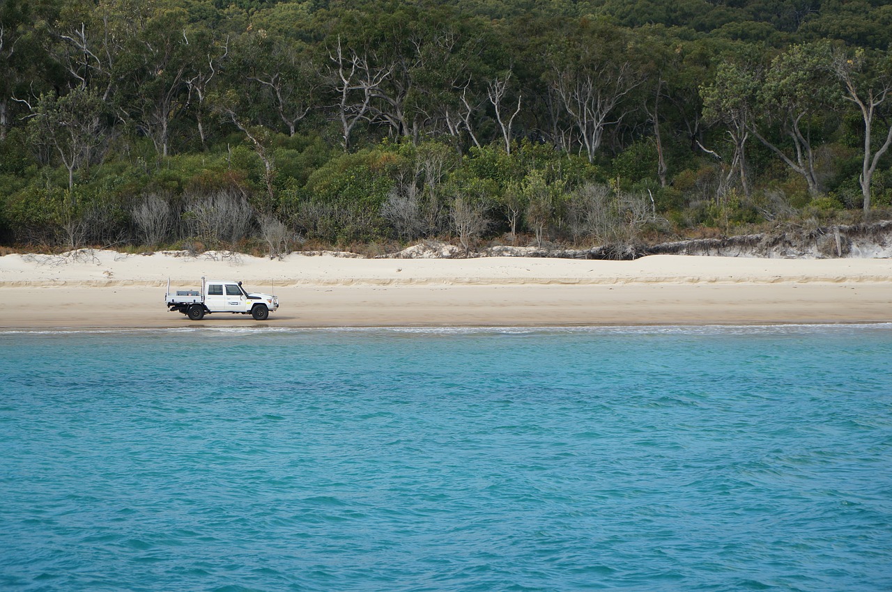 beach  island  ocean free photo