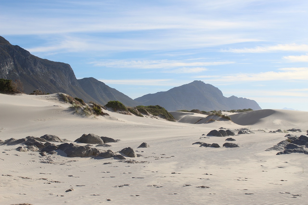 beach  sand  dunes free photo