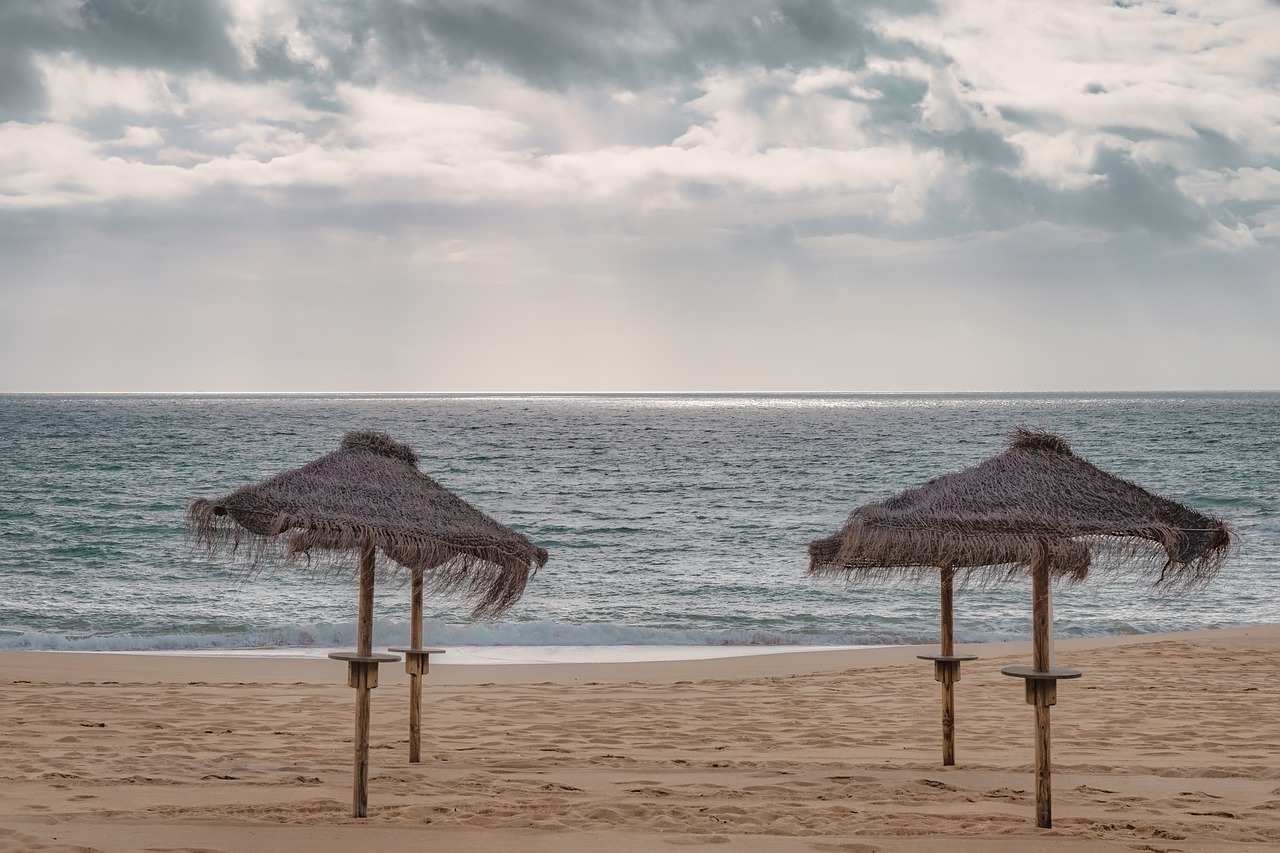 beach  parasol  sand free photo