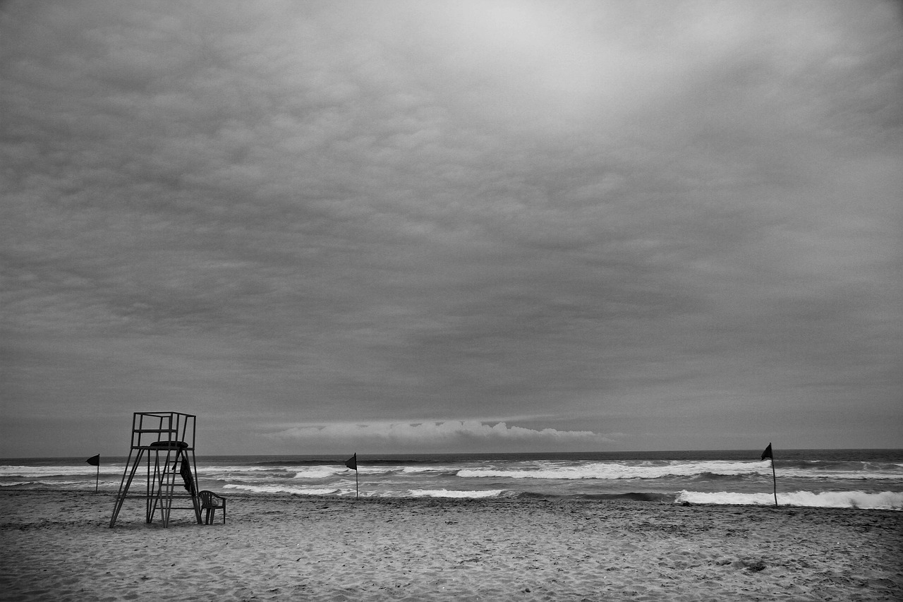 beach  chile  el tabo free photo