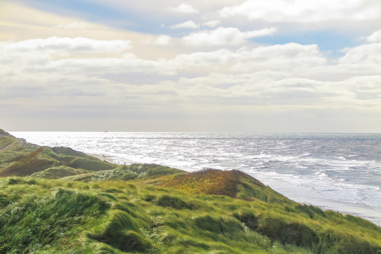 beach  sea  dune free photo