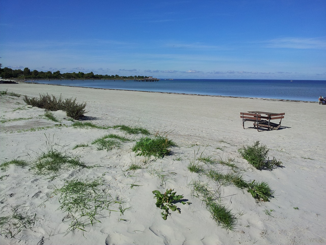 beach holiday water free photo