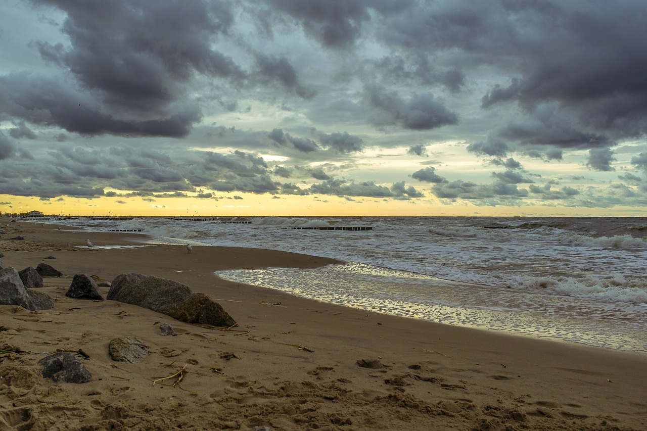 beach  sea  water free photo