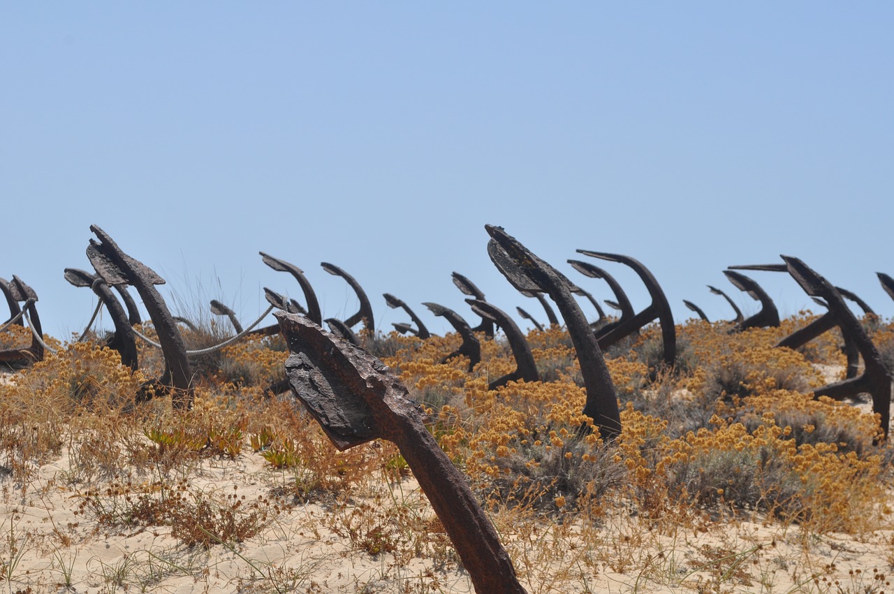 beach  anchor  algarve free photo