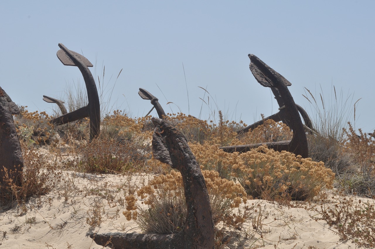 beach  anchor  tavira free photo