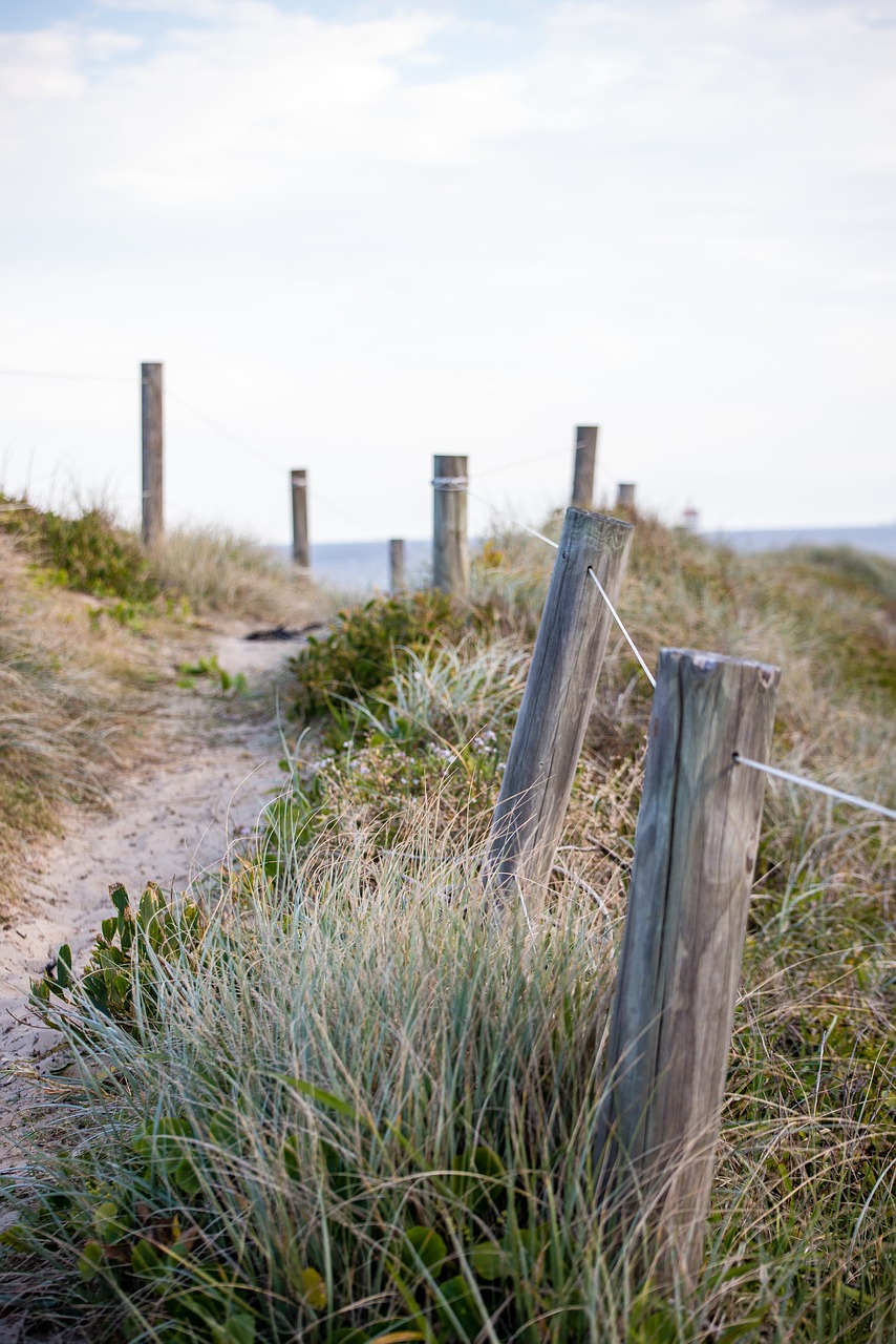 beach  fence  ocean free photo