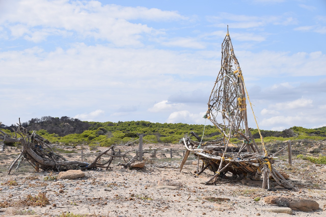 beach  boat  wood free photo