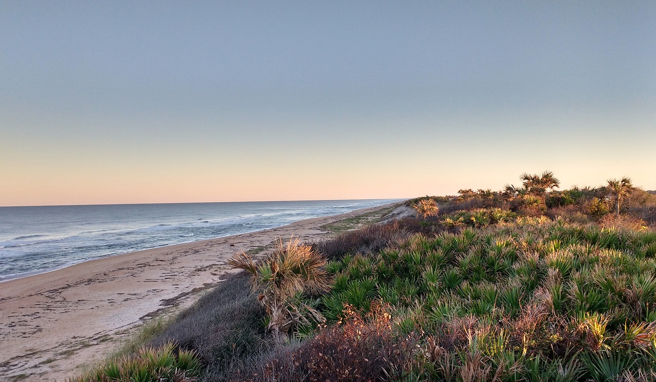 beach  coast  evening free photo