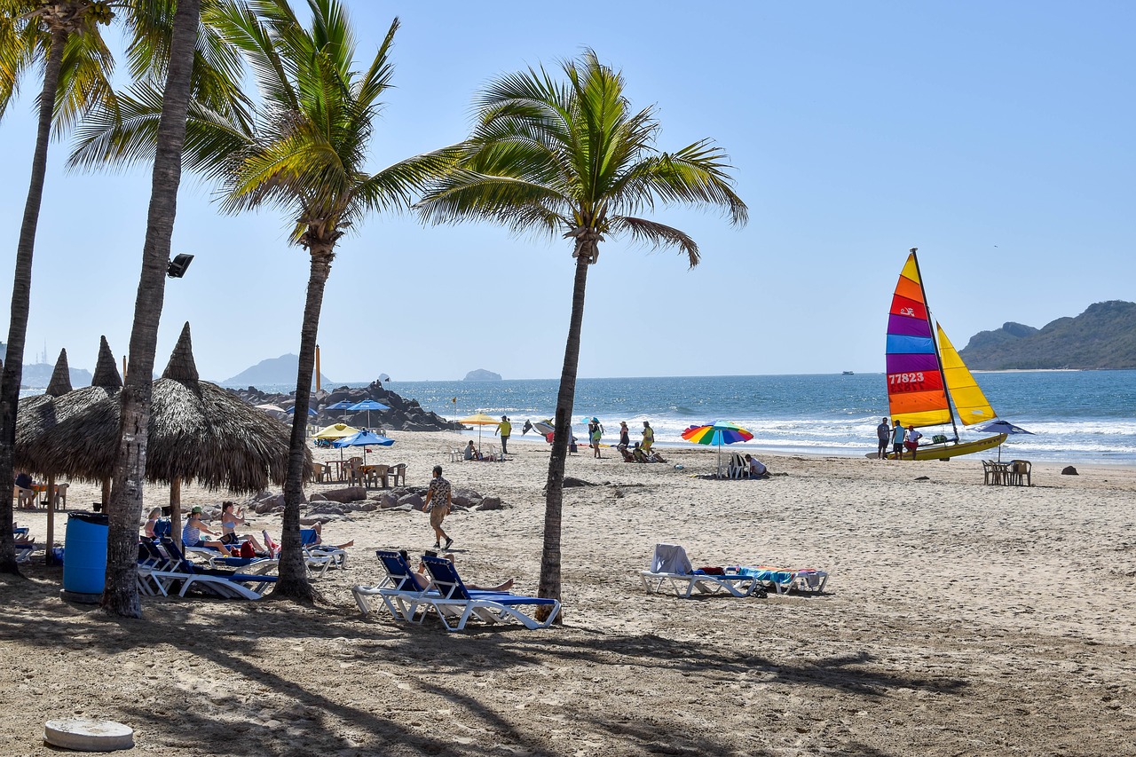 beach  fun  ocean free photo