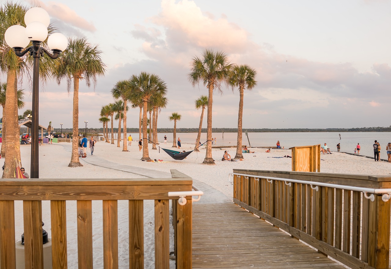 beach  palm trees  exotic free photo