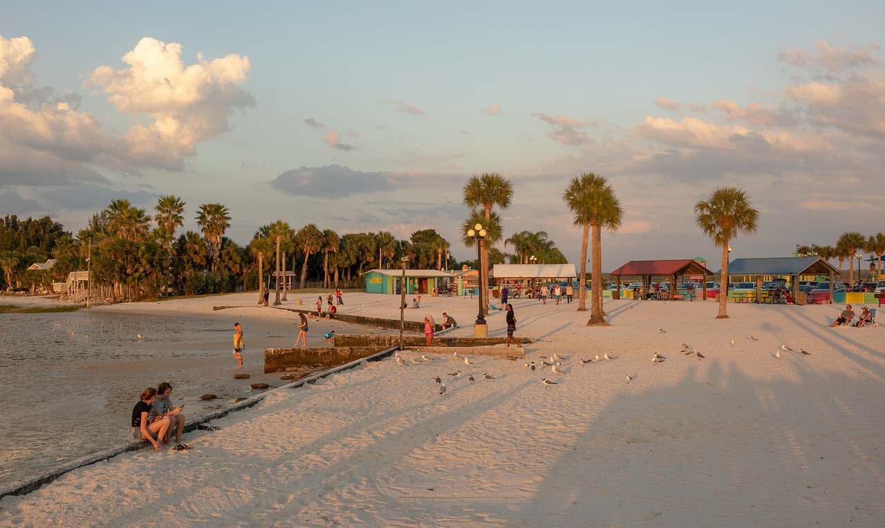 beach  florida  gulf free photo