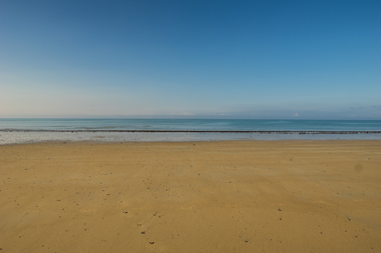 beach  sea  sand free photo