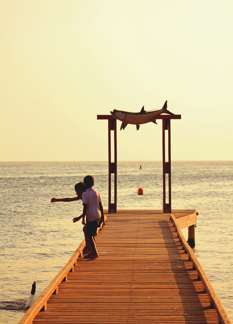 beach  sea  children free photo