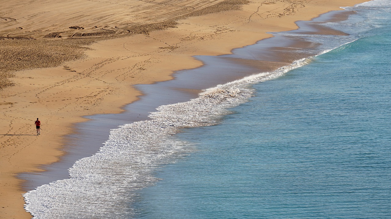 beach  sea  sand free photo