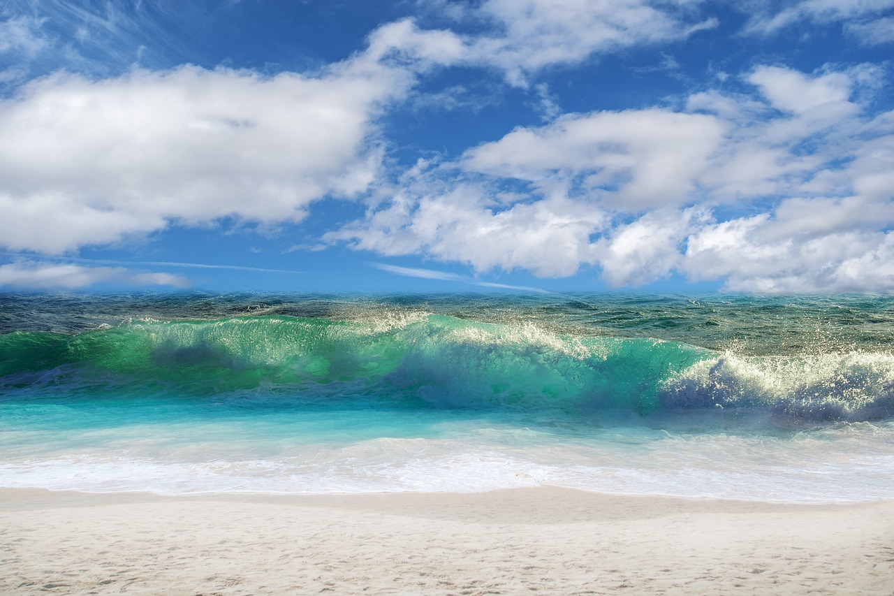 beach  wave  sky free photo