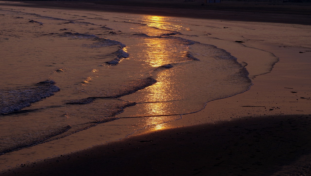 beach  wave  water free photo