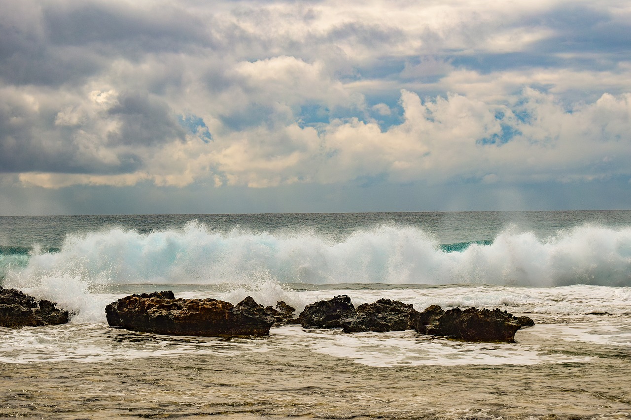 beach  sea  wave free photo