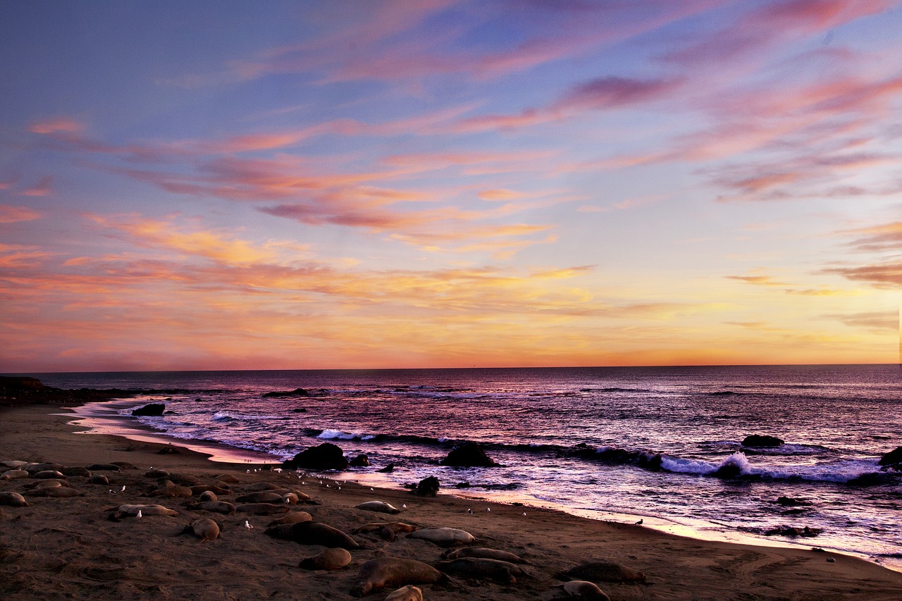 beach  sunset  warm free photo