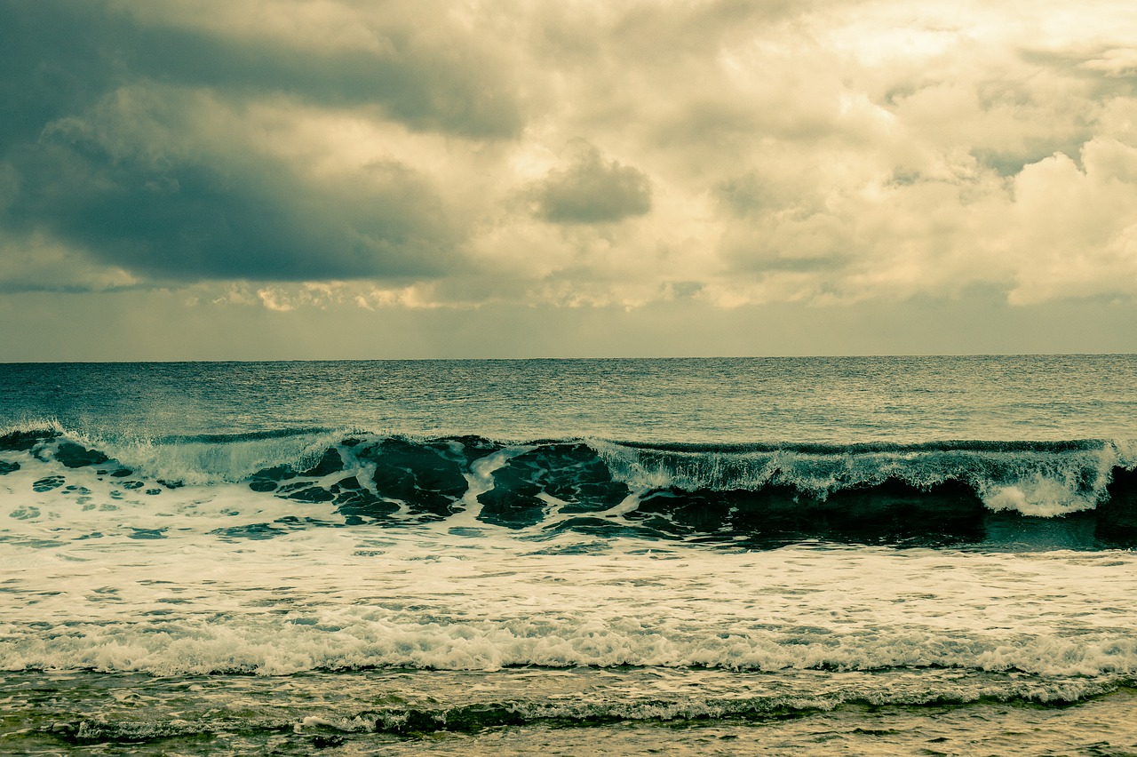 beach  sea  wave free photo