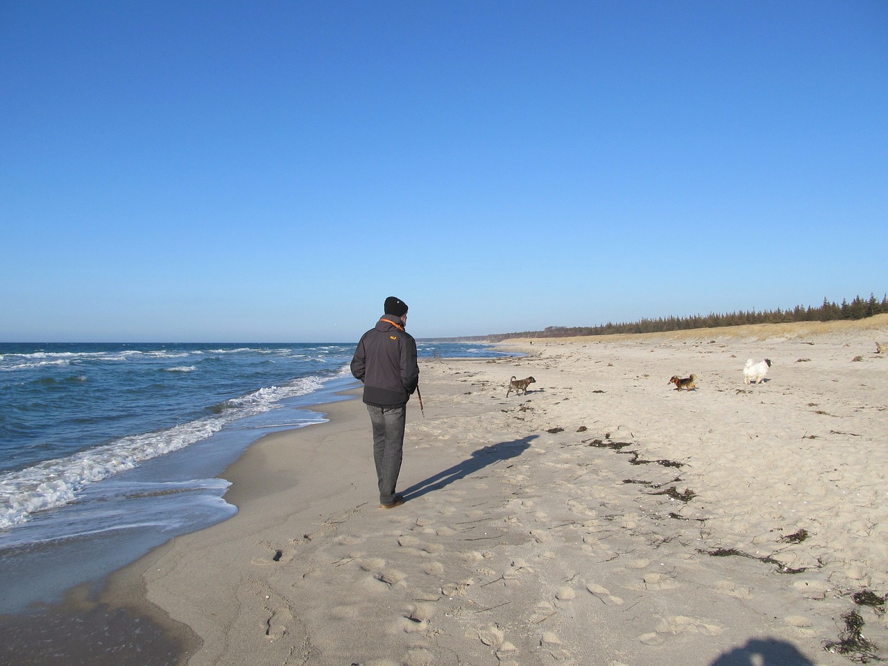 beach relaxation wide free photo