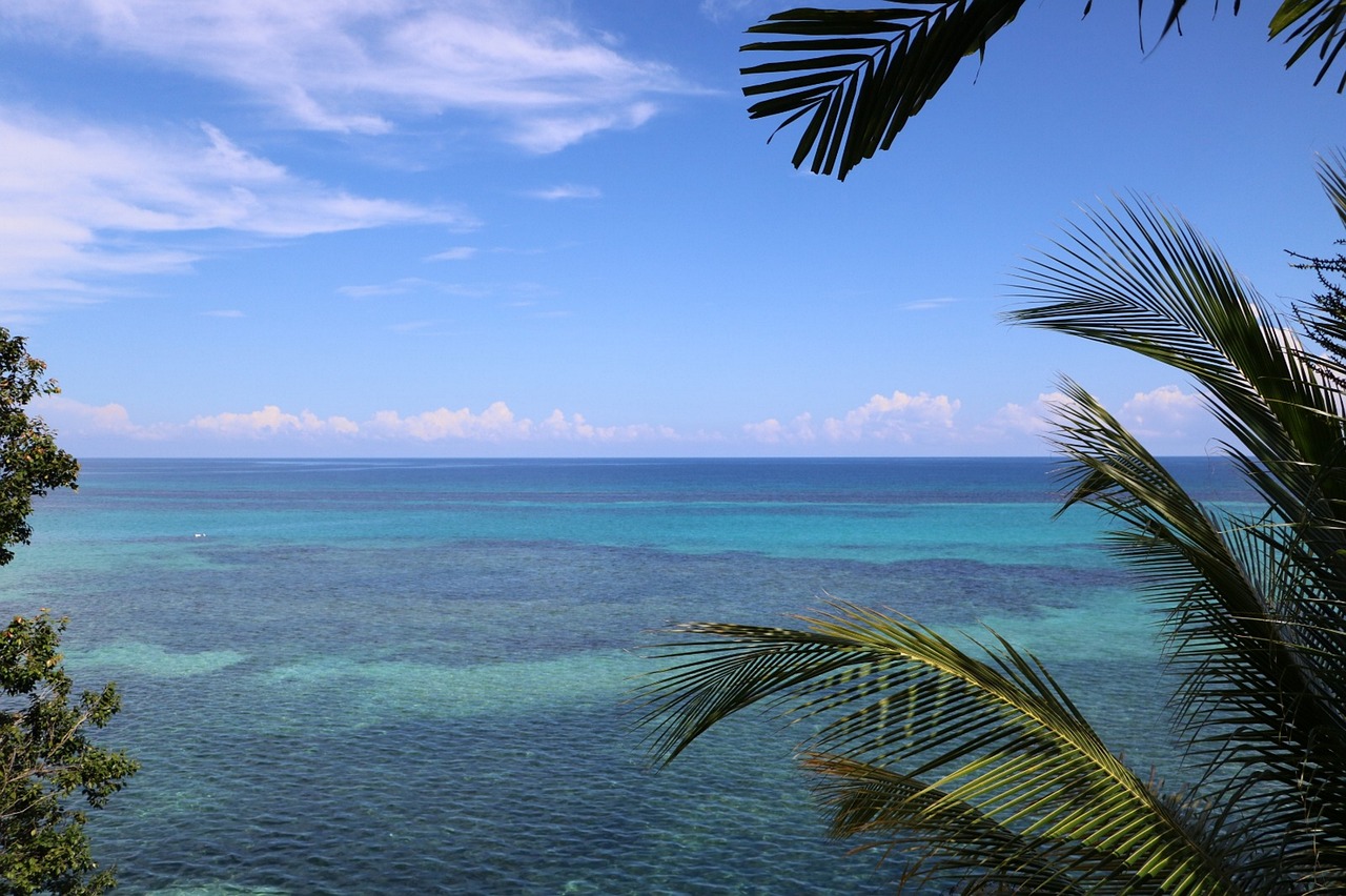 beach  ocean  sea free photo