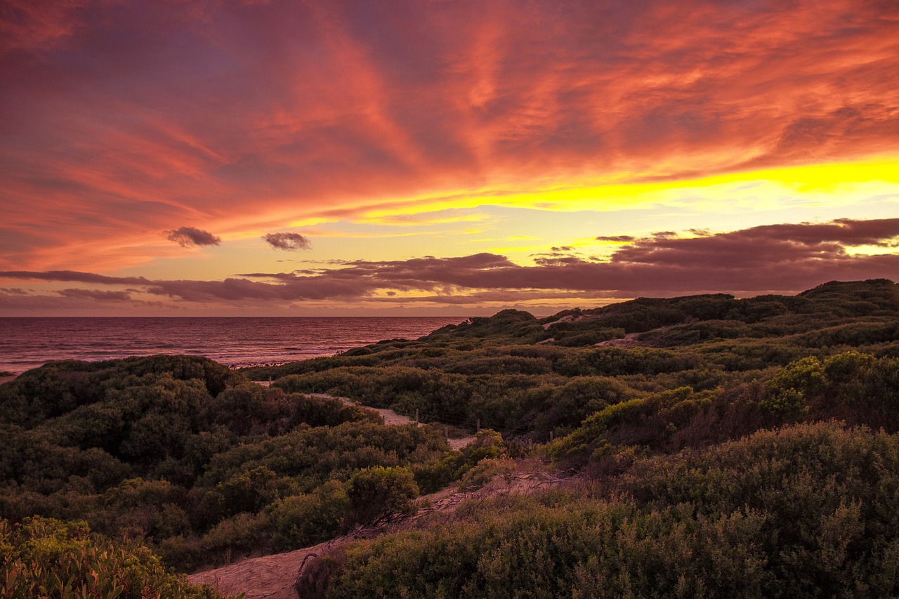 beach  orange  sunset free photo