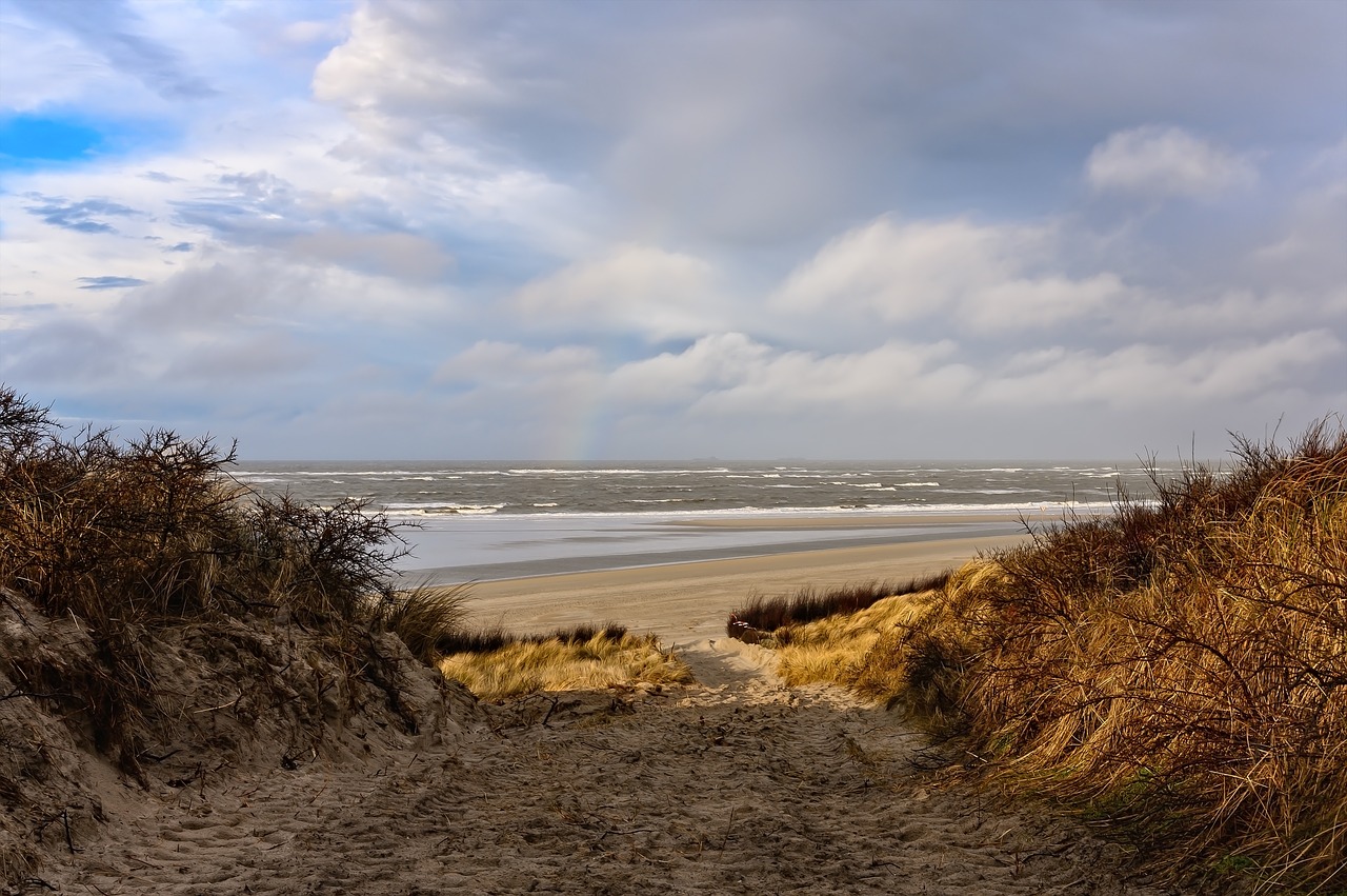 beach  sea  sand free photo