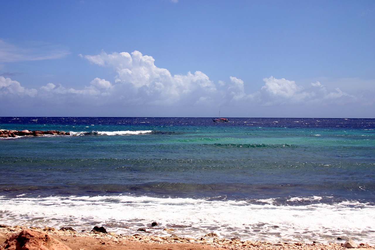 beach sea water free photo