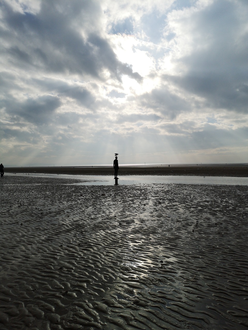 beach  sand  sea free photo