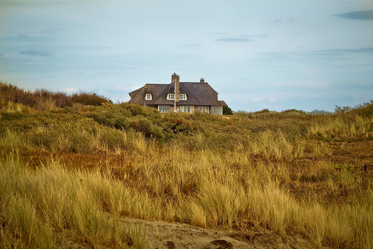 beach  dune  sand free photo