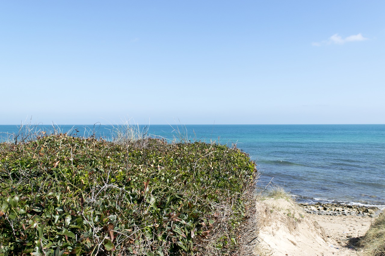 beach  sea  sky free photo