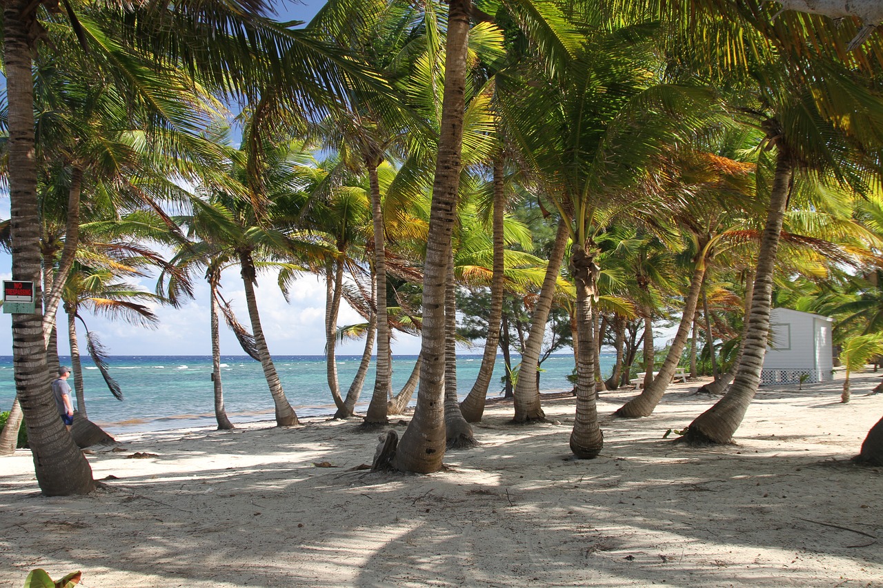 beach  tropical  caribbean free photo