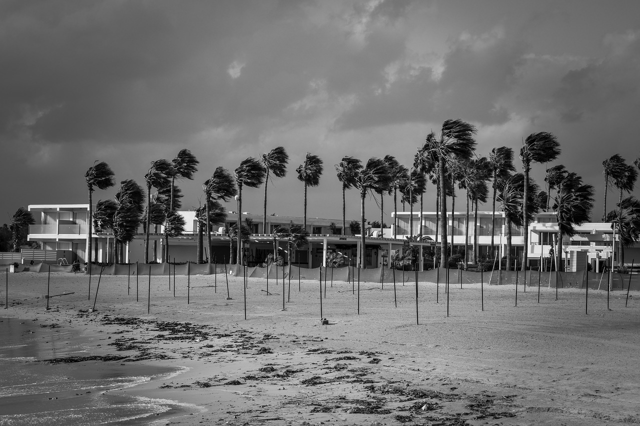 beach  winter  stormy weather free photo