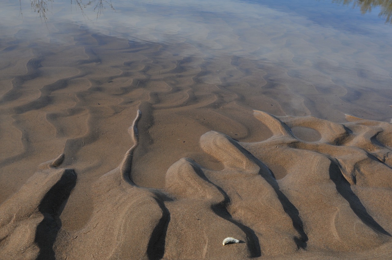 beach  water  sand free photo