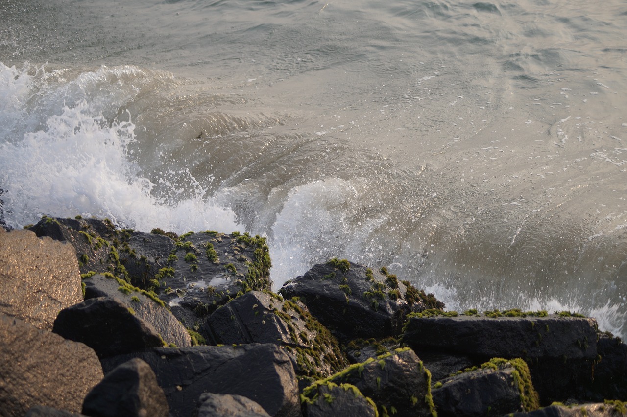 beach  nature  wat free photo