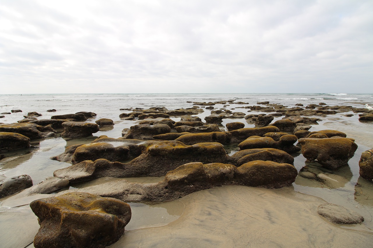 beach  ocean  l free photo