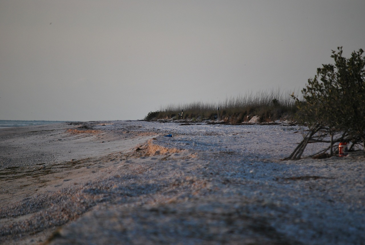 beach sea island free photo