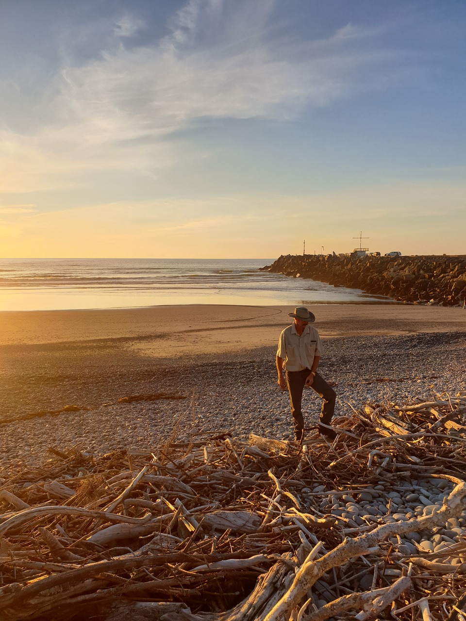 beach  driftwood  man free photo