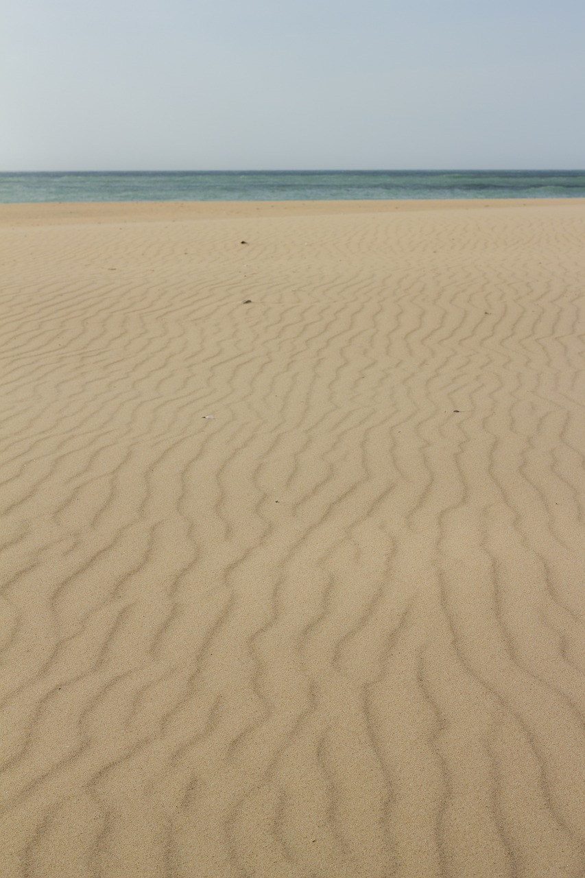 beach  sand  wind free photo