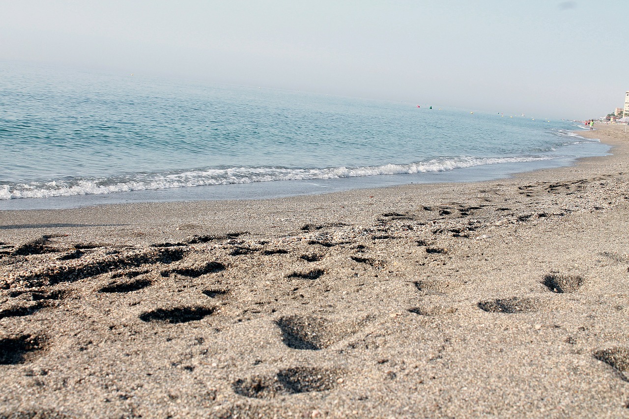 beach sand sandy free photo