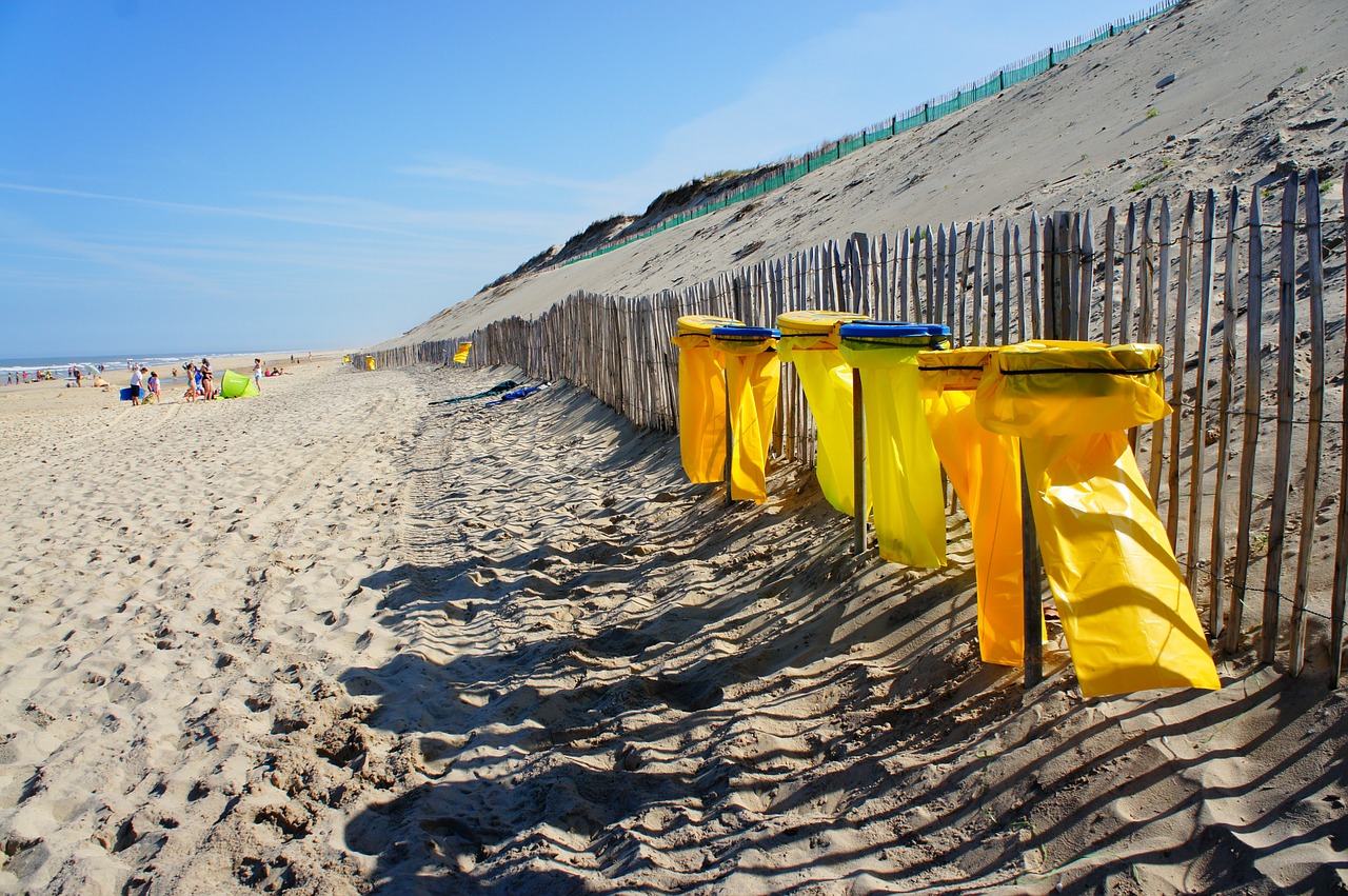 beach fence dune free photo