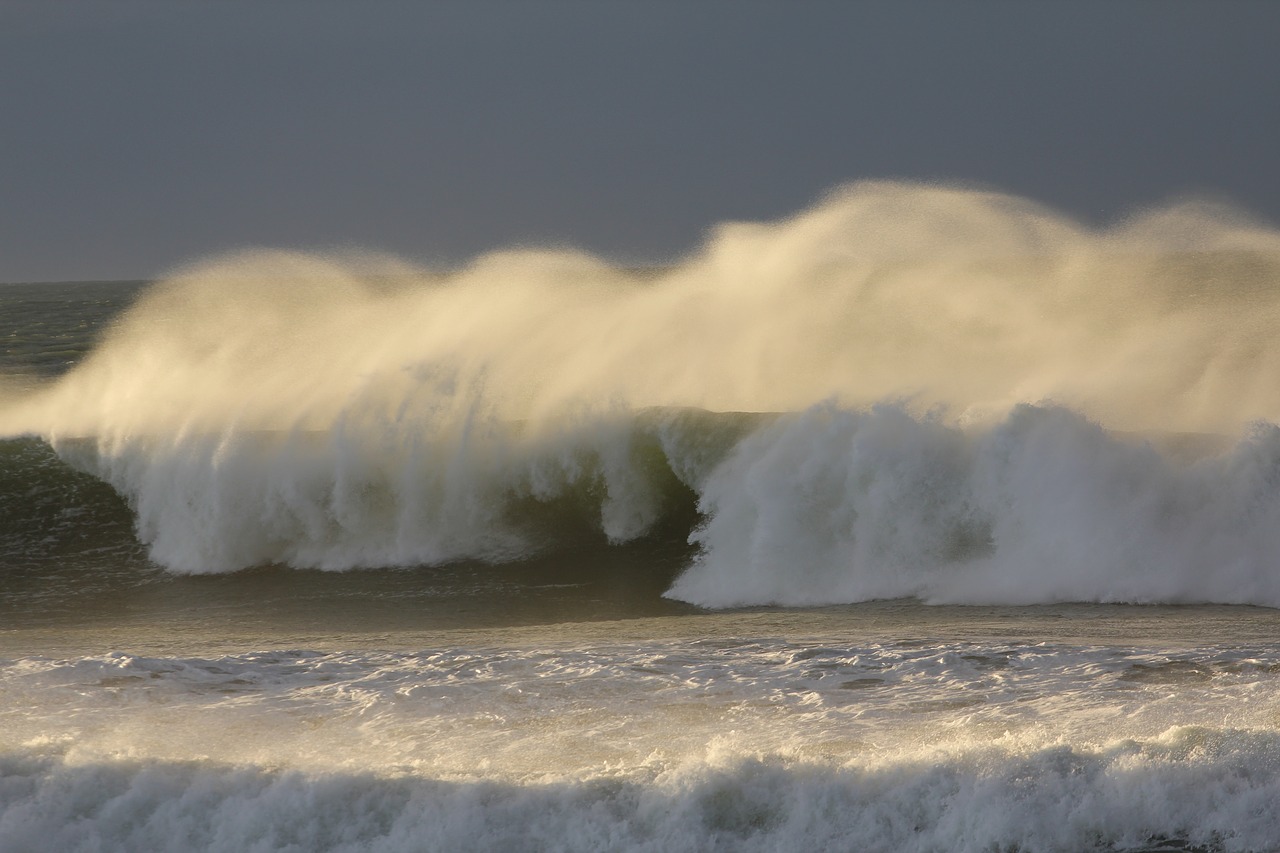 beach  wave  aqua free photo