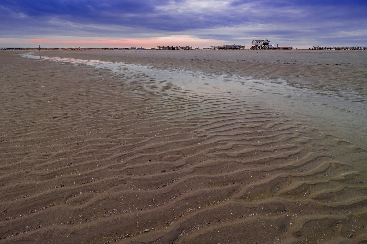 beach  stilt house  north sea free photo