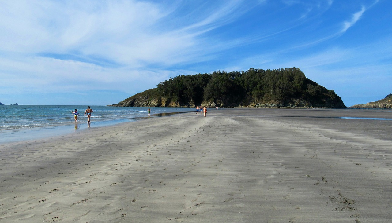 beach  sand  sea free photo