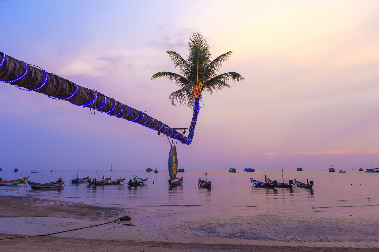 beach  sunset  sea free photo